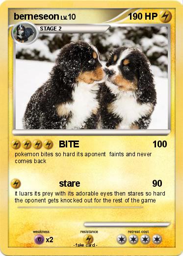 Pokemon berneseon