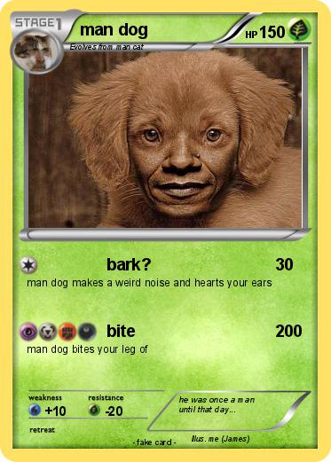 Pokemon man dog