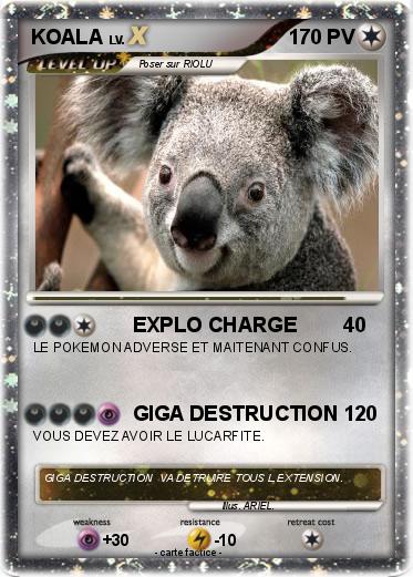 Pokemon KOALA