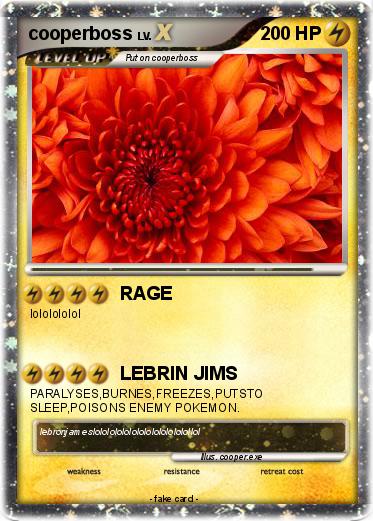 Pokemon cooperboss