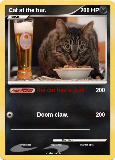 Pokemon Cat at the bar.