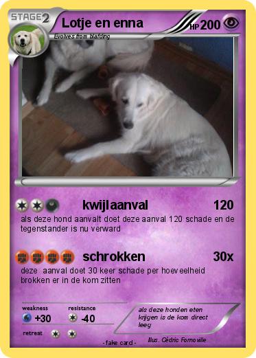 Pokemon Lotje en enna