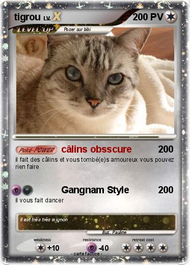 Pokemon tigrou
