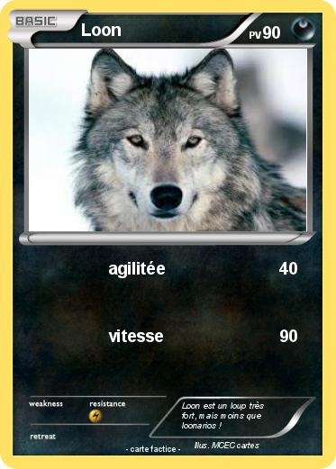 Pokemon Loon