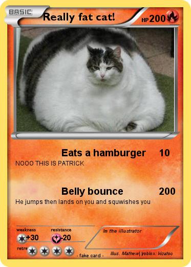 Pokemon Really fat cat!