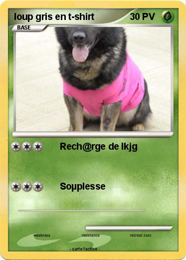 Pokemon loup gris en t-shirt