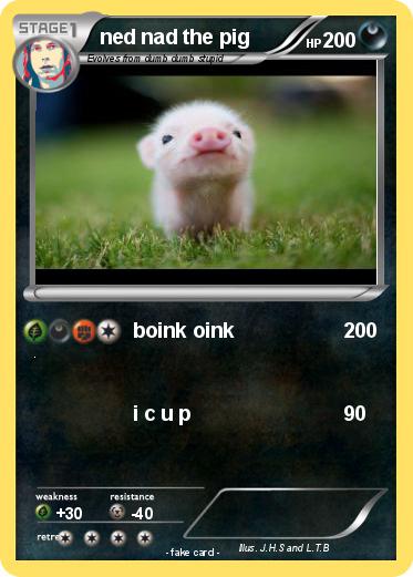 Pokemon ned nad the pig
