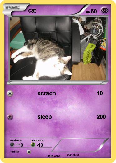 Pokemon cat