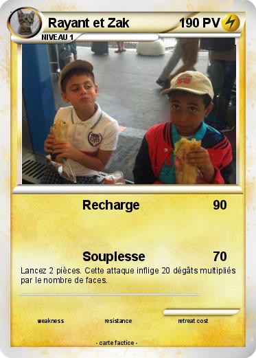Pokemon Rayant et Zak