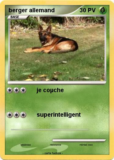 Pokemon berger allemand