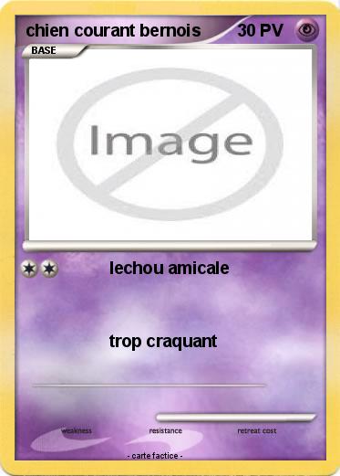 Pokemon chien courant bernois