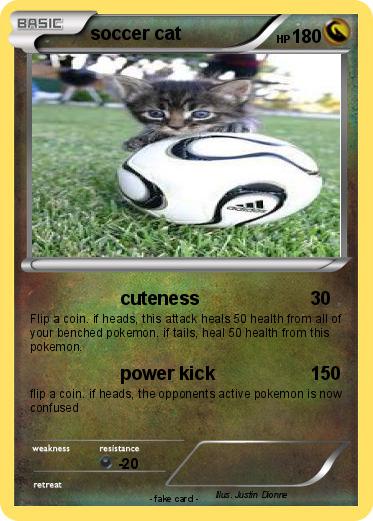 Pokemon soccer cat