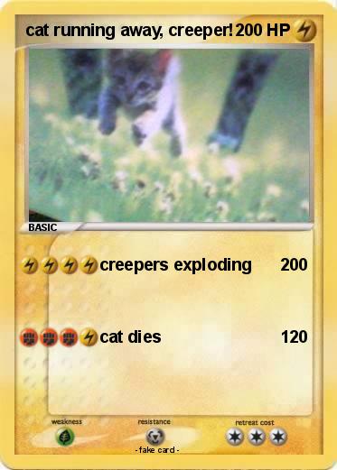 Pokemon cat running away, creeper!