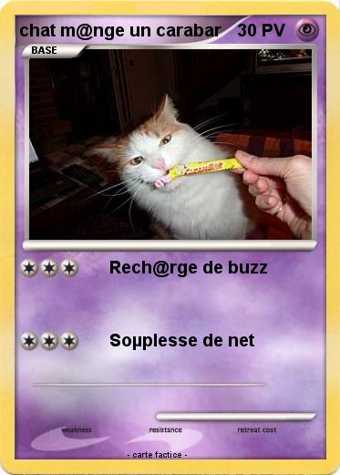 Pokemon chat m@nge un carabar