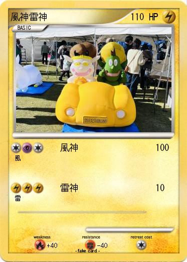 Pokemon 風神雷神