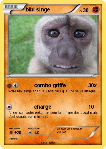 Pokemon bibi singe