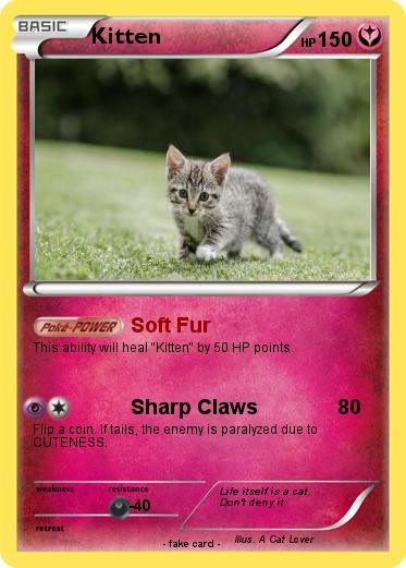 Pokemon Kitten
