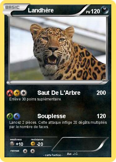 Pokemon Landhère