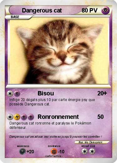 Pokemon Dangerous cat
