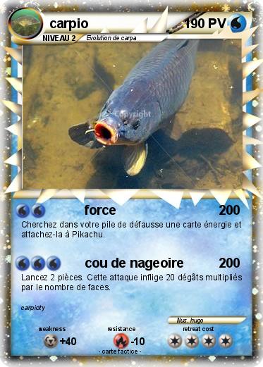 Pokemon carpio