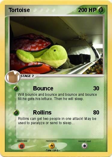 Pokemon Tortoise