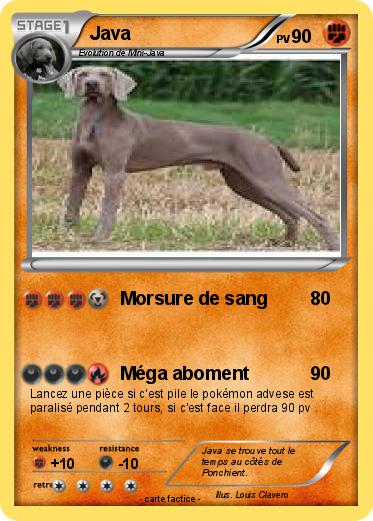 Pokemon Java