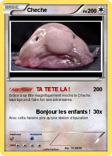 Pokemon Cheche