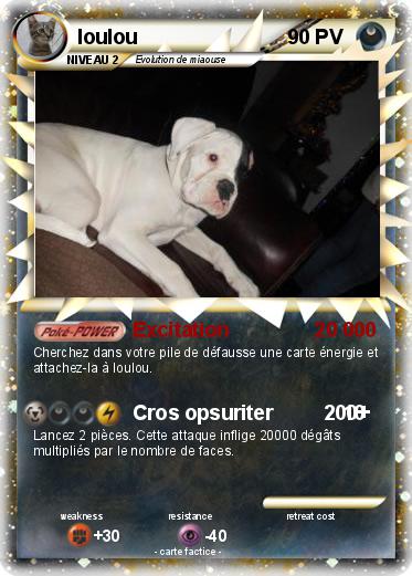 Pokemon loulou
