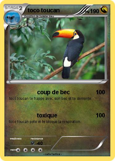Pokemon toco toucan