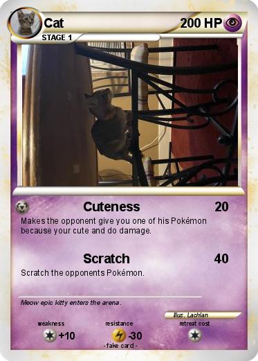 Pokemon Cat