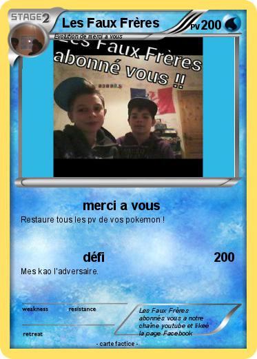 Pokemon Les Faux Frères