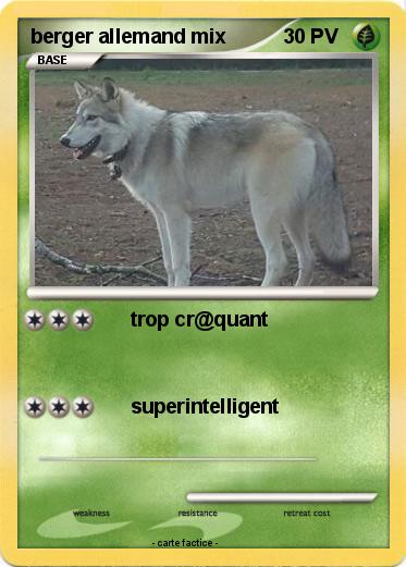 Pokemon berger allemand mix