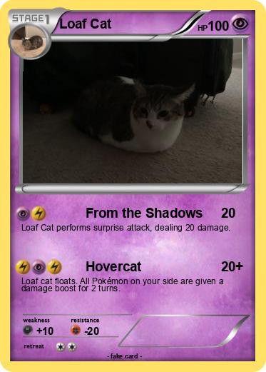 Pokemon Loaf Cat
