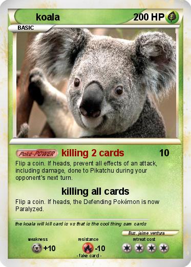 Pokemon koala