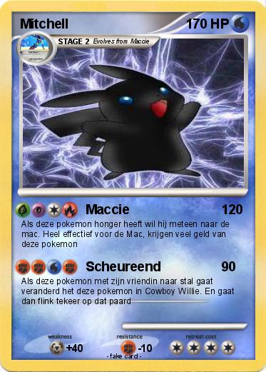 Pokemon Mitchell