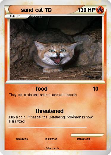 Pokemon sand cat TD