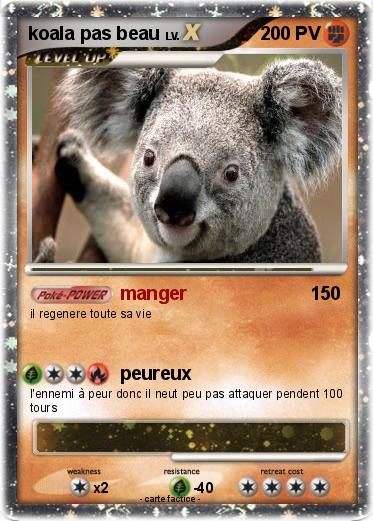 Pokemon koala pas beau