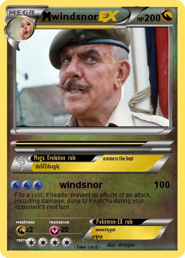 Pokemon windsnor