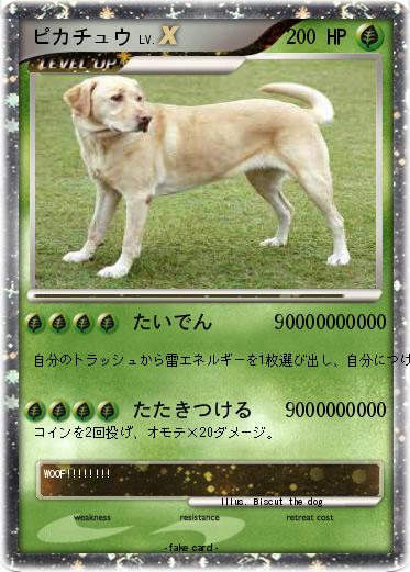 Pokemon ピカチュウ