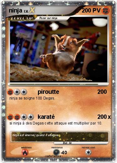Pokemon ninja