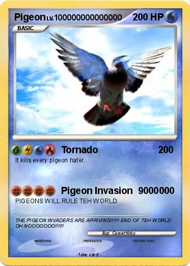 Pokemon Pigeon