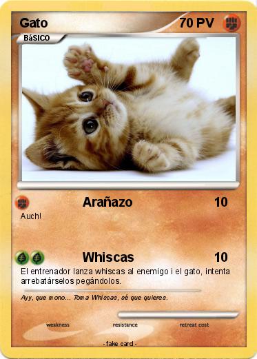 Pokemon Gato