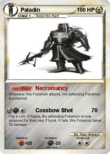 Pokemon Paladin