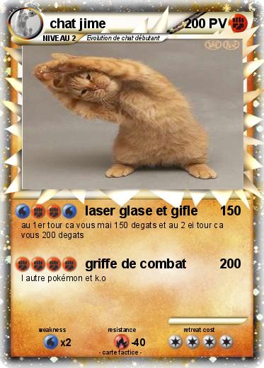 Pokemon chat jime