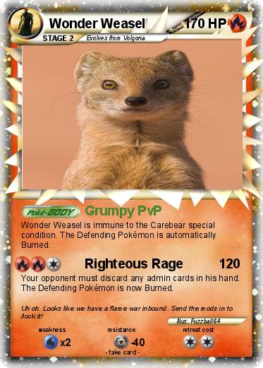 Pokemon Wonder Weasel