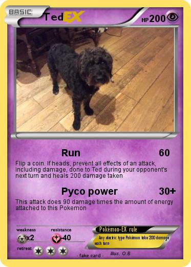 Pokemon Ted