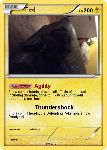 Pokemon Ted