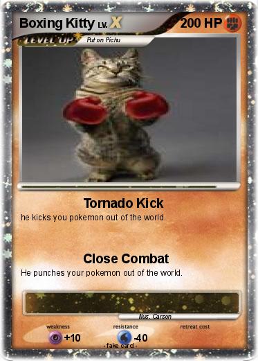 Pokemon Boxing Kitty