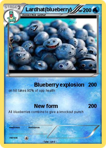 Pokemon Lardhat(blueberry)