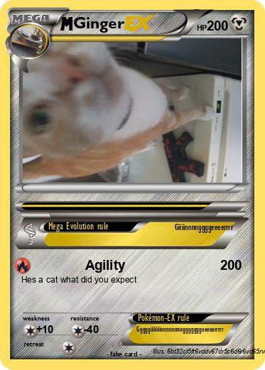 Pokemon Ginger